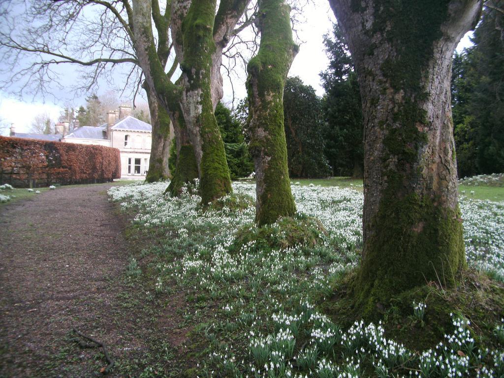 Gardenvale Manor House B&B Stranocum Dış mekan fotoğraf